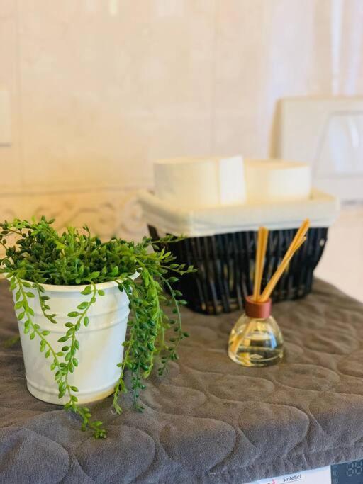 Benvenuti In Casa Peluca! Apartment Местре Екстериор снимка